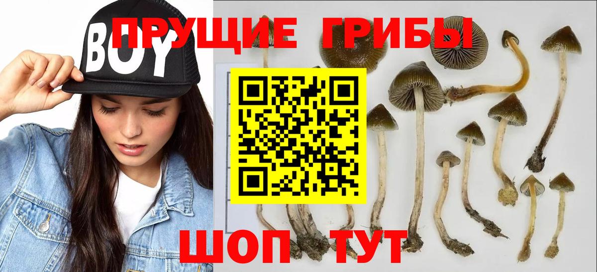 Псилоцибиновые грибы Cubensis  Вход с VPN  Галлюциногенные грибы Magic Shrooms  Ижевск 