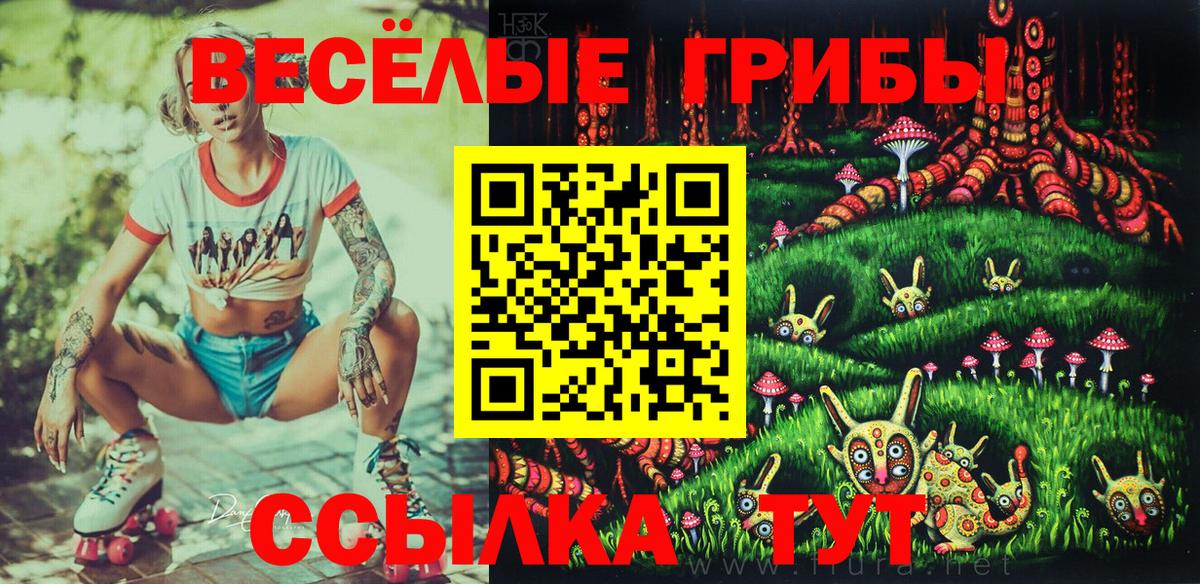 Галлюциногенные грибы Cubensis Ижевск